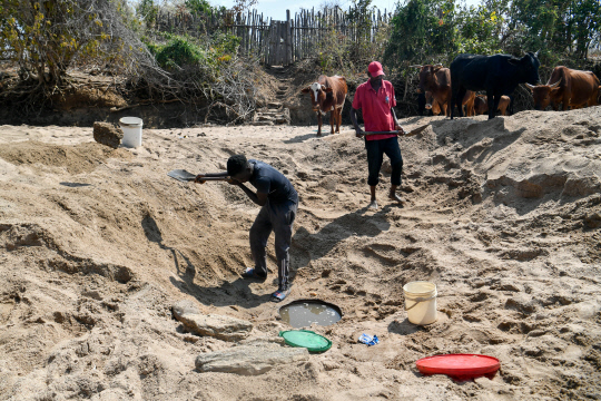 심각한 가뭄을 겪고 있는 짐바브웨 동부 무드즈 지역에서 주민들이 물을 구하기 위해 땅을 파고 있습니다. EPA 연합뉴스